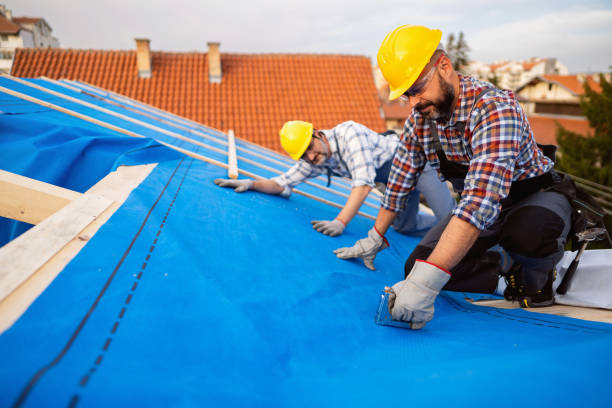 Roof Gutter Cleaning in Avon Lake, OH